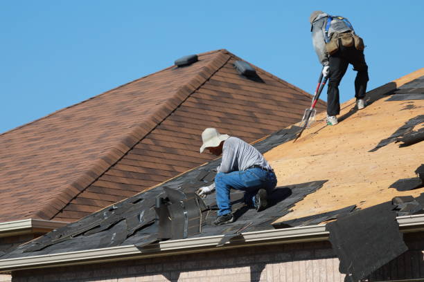 Best Roof Insulation Installation  in Gages Lake, IL